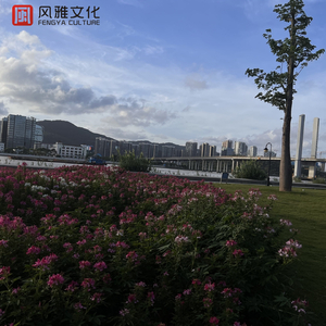 公公做爱怀孕视频
